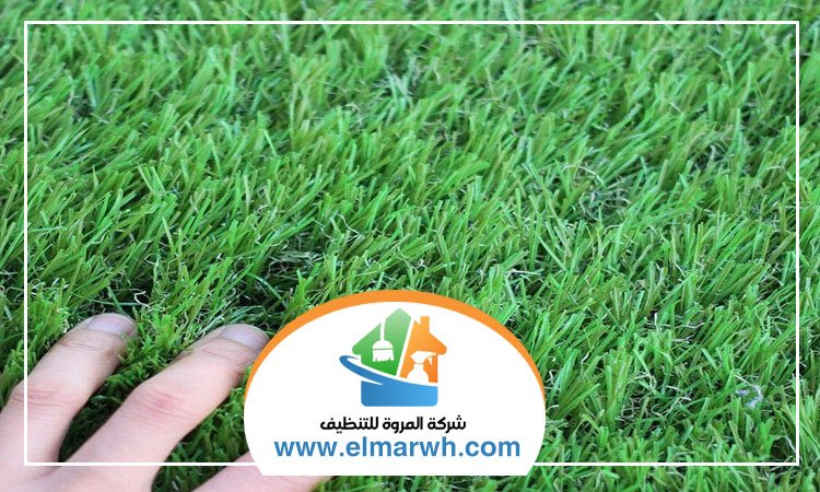 تركيب عشب في العين
