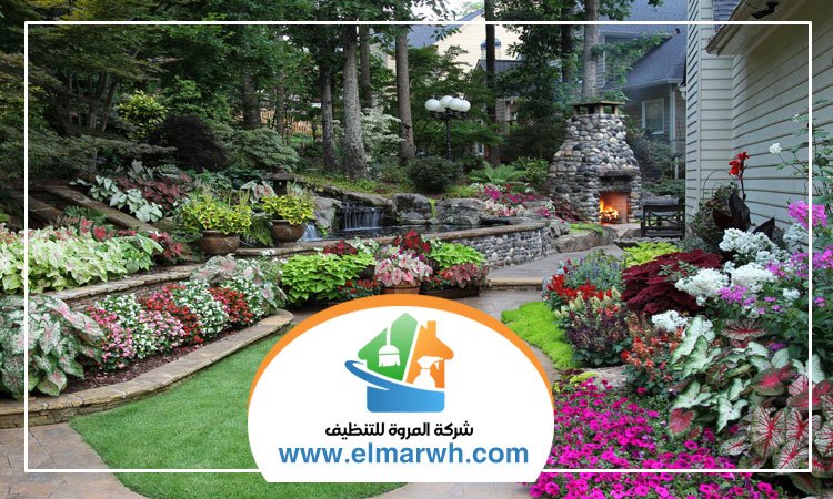 تركيب عشب في العين